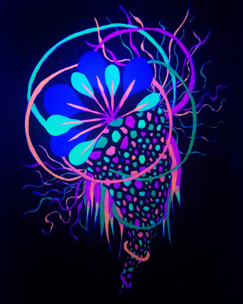 UV Drawing Drawing Melanie Reeves